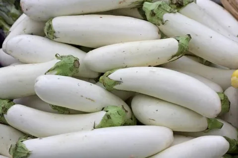 بادمجان سفید سالم و بدون لکه برای فروش عمده